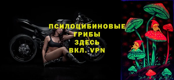 mdpv Белая Холуница