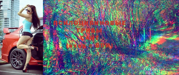 прущие крисы Осташков