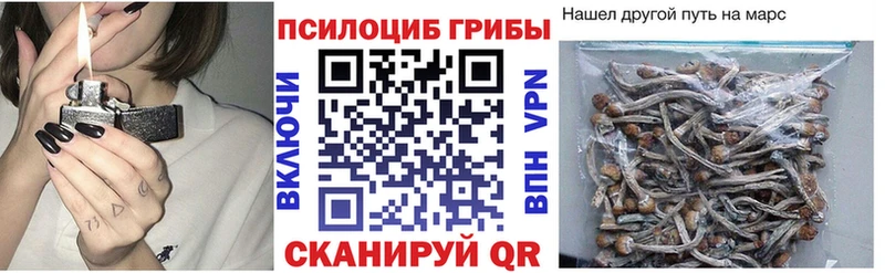 кракен сайт  сколько стоит  Белый  Галлюциногенные грибы Magic Shrooms 